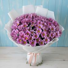 Букет цветов из:  Хризантемы в Ахты