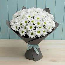 Букет цветов из:  Хризантемы в Ахты